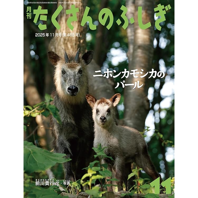 Amazon.co.jp: 風車と水車(たくさんのふしぎ) (2025年10月号) : 本