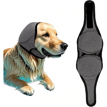 Amazon.co.jp 最新リリース: 犬用ヘルスケア の新着ランキングです。