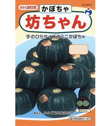 Amazon.co.jp: かぼちゃ 種 【 坊ちゃん 】 種子 小袋（約8粒