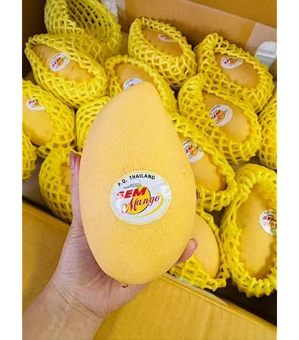 Amazon.co.jp: P.Q.THAILAND GREEN MANGO THAILAND 1KG - タイ産