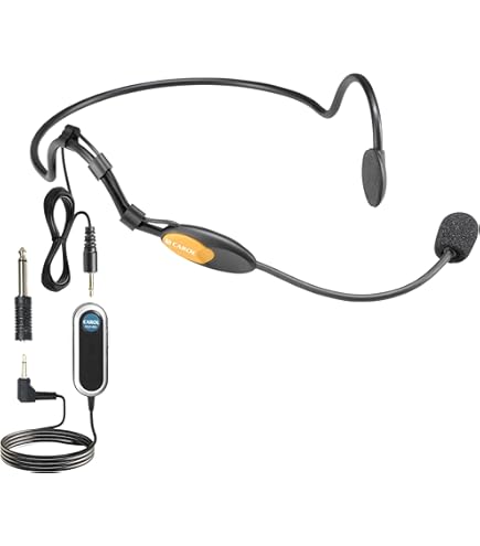 Amazon.co.jp: SHURE ヘッドウォーン型マイクロホン SM10A-CN 【国内