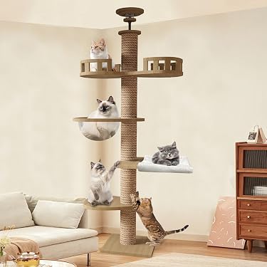早い者勝ち❣️突っ張り型キャットタワー 235-260cm 360°透明カプセル付 Amazon.co.jp 売れ筋ランキング: キャットタワー の中で最も人気のある