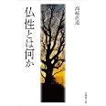 仏性とは何か (法蔵館文庫)