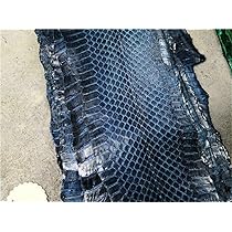 Amazon.co.jp: 蛇皮 蛇皮 ピース 青皮 天然 長さ47インチ 1個