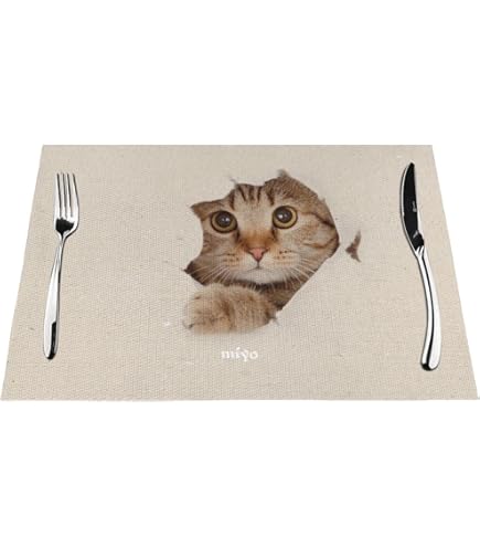 Amazon｜猫の恩返し ルナルド ムーンの壁画 ランチョンマット ジブリ