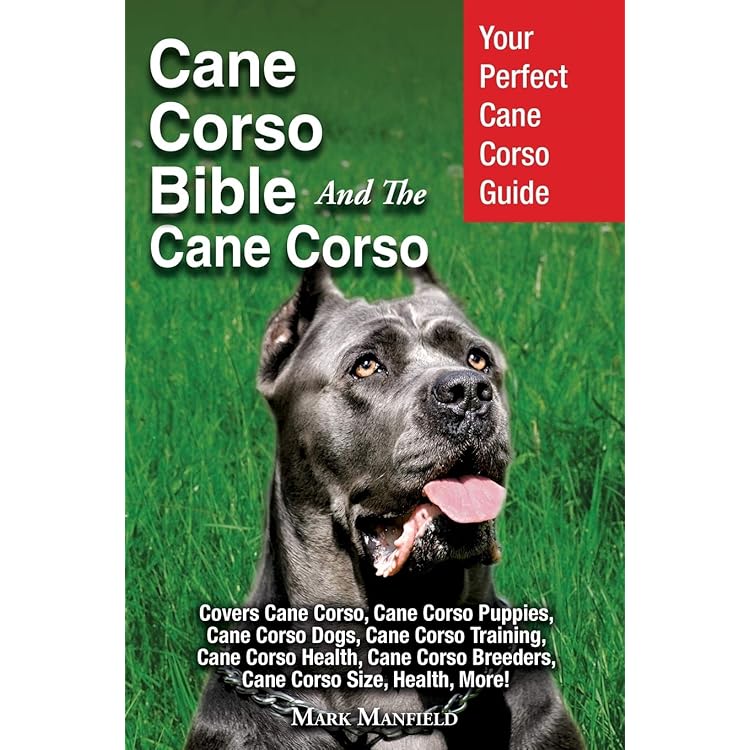 corso kennels