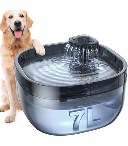Wags & Wiggles Dog Drinking Fountain & Splash Toy - Paw-Shaped Outdoor Water Fountain For Dogs