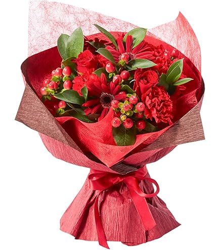 Amazon.co.jp: アルジャーノンに花束を ユースケ サンタマリア