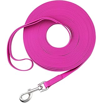 long backyard dog leash