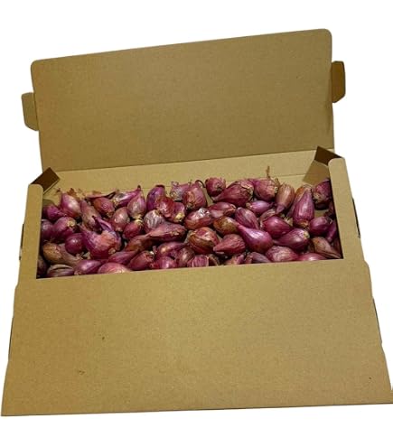 Amazon.co.jp: フランスの野菜通年 エシャロットフランス産約1Kg