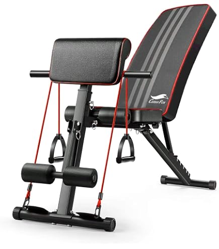 Amazon.co.jp: HOIST Fitness (ホイストフィットネス) デュアル調節