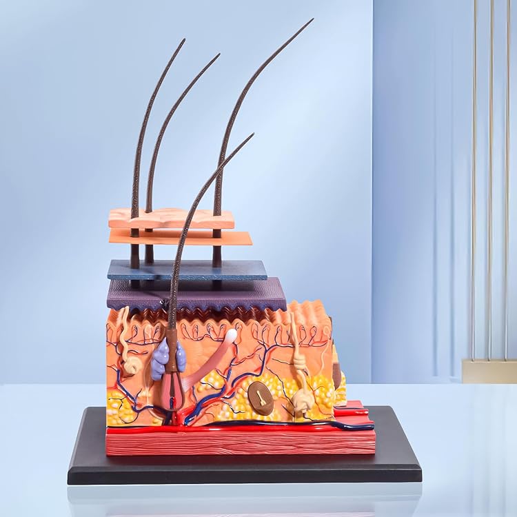 Amazon.co.jp: 温冷美顔器 ペルチェフェイス [ 温冷美顔機 リフト