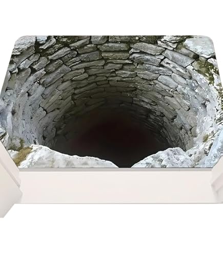 Amazon.co.jp: Nick Knight ニックナイト 写真集 DAELIM MUSEUM D