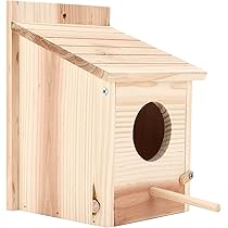 新品　小鳥なな　生写真　２枚セット 71XA0jOBMEL._AC_UL210_SR210,