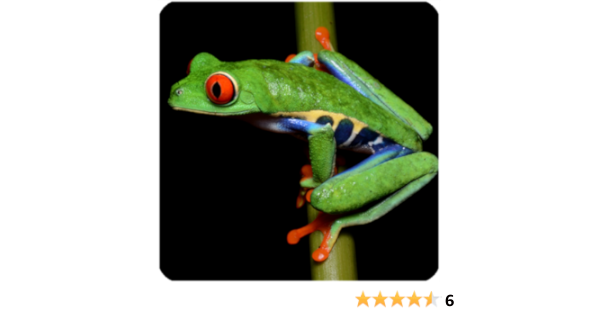 Amazon Co Jp カエルの鳴き声