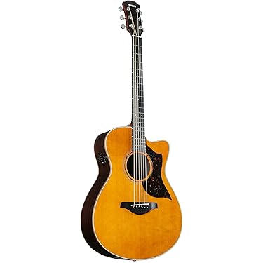 Amazon.co.jp ほしい物ランキング: エレアコギター で、ほしい物リスト