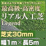最高級 リアル 人工芝 「レジェンド」 芝丈30mm《1m×5m》 【防炎認証済】