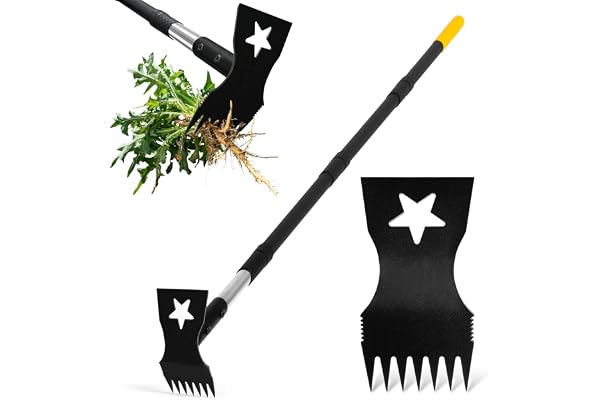 BlumeTrec 2-in-1草取り道具 立ったまま 除草レーキ・園芸鍬兼用 長さ調節可能 67.5cm〜137cm マンガン鋼7本爪 ステンレス柄付 草むしり 雑草抜き 草刈りレーキ 土壌耕作 掘り起こし道具 園芸用農具 庭 畑 家庭菜園用