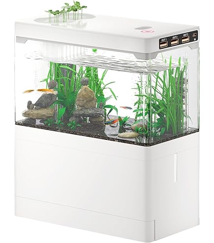 Amazon | ライフ商事 FRP水槽 金魚すくい用 180L SF-150 | ライフ商事 