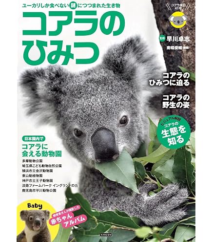 Amazon.co.jp: Kokimono Koala (M) Beige : Toys & Games