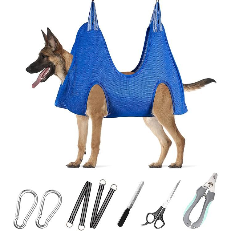 do i need a dog bed and a crate
