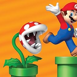 マリオブラザーズの人気壁紙画像 パックンフラワー