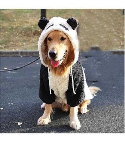 Amazon | ファッション 犬服中型と大型犬サモエドゴールデンレトリバー