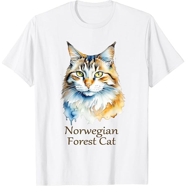 Amazon | ノルウェーのフィヨルド Tシャツ | Tシャツ