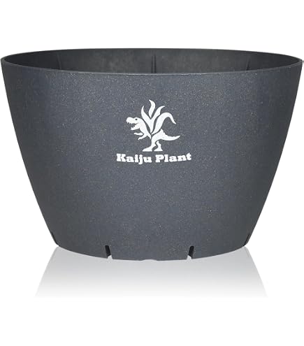 Amazon.co.jp: 大貫弘由岐 作家鉢 植木鉢 陶器鉢 コーデックス 塊根