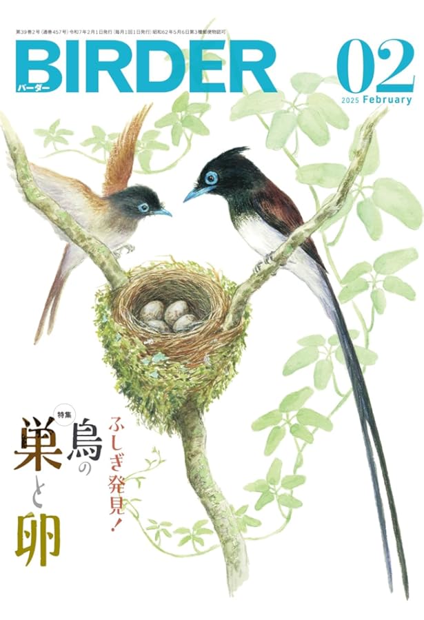 BIRDER 2024年 11 月号 [雑誌] |本 | 通販 | Amazon