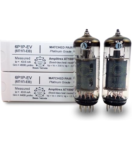 Amazon | ロシア製真空管 5C3S (5U4G 5U3C) SVETLANA スベトラーナ (2