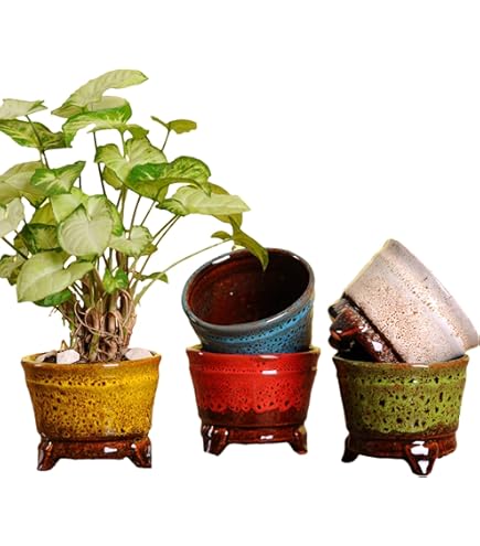 文山ミニ盆栽鉢8点セット 盆栽鉢 植木鉢 「瀬戸焼文山窯絵付小鉢12点セット」 絵鉢 絵付鉢 2号