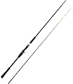 Amazon | ダイワ(DAIWA) 20 ライトアマダイX 190・R | Daiwa | ロッド・竿