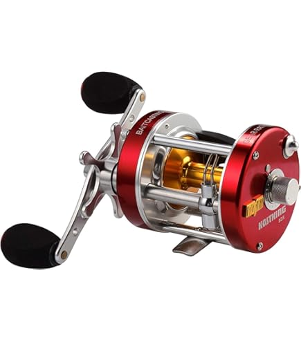 Amazon | アブガルシア Ambassadeur SX キャスティングリール AMBSX