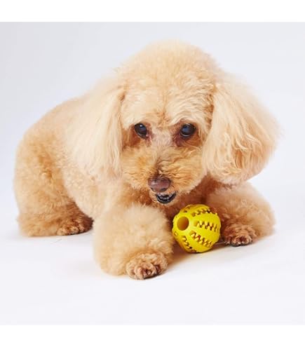 Amazon | ふく福 り ラバー製 ット犬用噛む 餌入れ おやつボール 犬用