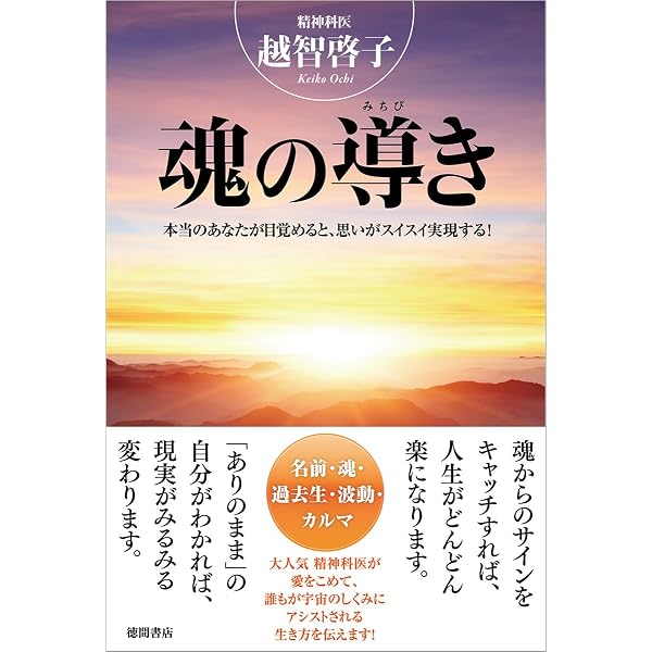精神科医 越智啓子 講演会 DVD 7枚セット 精神科医 越智啓子 講演会 DVD 7枚セット 718O7a4HMyL._AC_UL210_SR210,