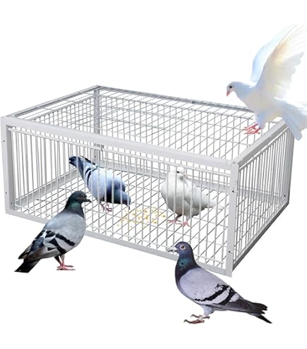 Amazon.co.jp: MBBTAG 鳩かご 鳩捕り籠 屋外鳩小屋 鶏のケージ