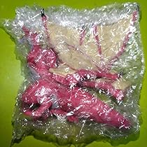 レア‼️レジェンズ・オブ・ドラゴノア ドラゴンの王 イグニトール DXフィギュア レア‼️レジェンズ・オブ・ドラゴノア ドラゴンの王