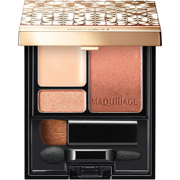 マキアージュ ドラマティックムードヴェール RD100 8g レフィル 6個 61xOJPLpM-L._AC_UL210_SR210,