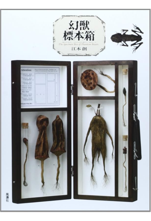 【初版】幻獸標本採集誌 幻獸標本採集誌 | 江本 創 |本 | 通販 | Amazon