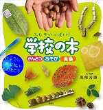 ふしぎいっぱい！ 学校の木