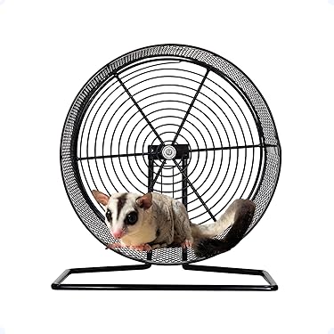 Amazon.co.jp 売れ筋ランキング: 小動物用回し車 の中で最も人気のある