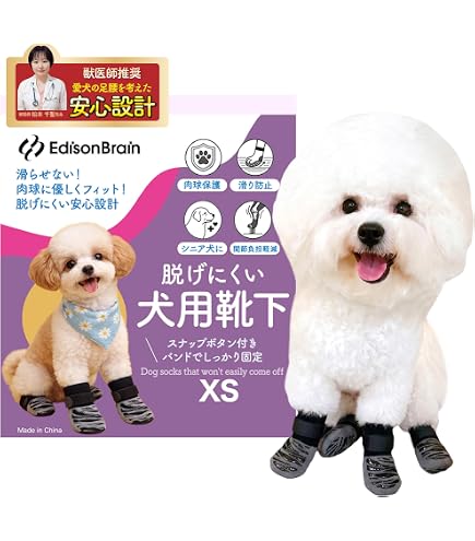 Amazon.co.jp: アニマルオルソジャパン おさんぽソックス ブラック 犬