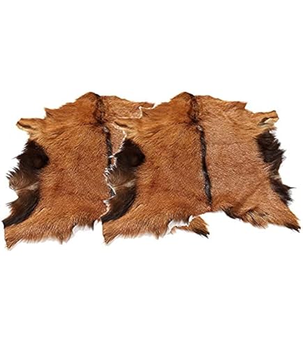 Amazon | Asuprui Red Deer Hide ラグ 1x2フィート | 鹿の皮、鹿の剥製