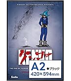 Amazon | 【Amazon.co.jp 限定】Kenko ポスター用アルミ額縁 パチット