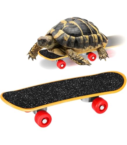 Amazon.co.jp: Parliky ペットのスケートボード オウムスケート