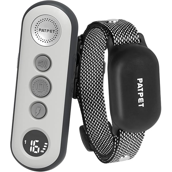 small dog shock collar amazon
