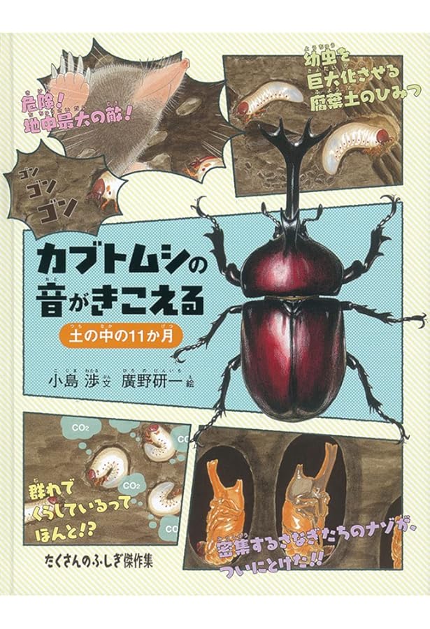 不思議だらけ カブトムシ図鑑 | 小島渉, じゅえき太郎 |本 | 通販 | Amazon