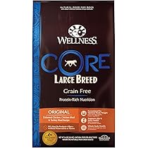 ウェルネス ドッグフード コア グレインフリー 高たんぱく質 成犬用 Amazon.co.jp: ウェルネス ドッグフード コア グレインフリー 高