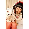 悠木碧 Fvga 480 800 壁紙 愛猫 アシュベル とのツーショット 女性タレント スマホ用画像 悠木碧 Fvga 480 800 壁紙 愛猫 アシュベル とのツーショット 女性タレント スマホ用画像
